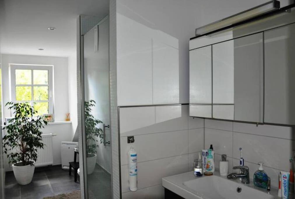 Wunderschoene Loft-Stadtwohnung 维尔茨堡 外观 照片